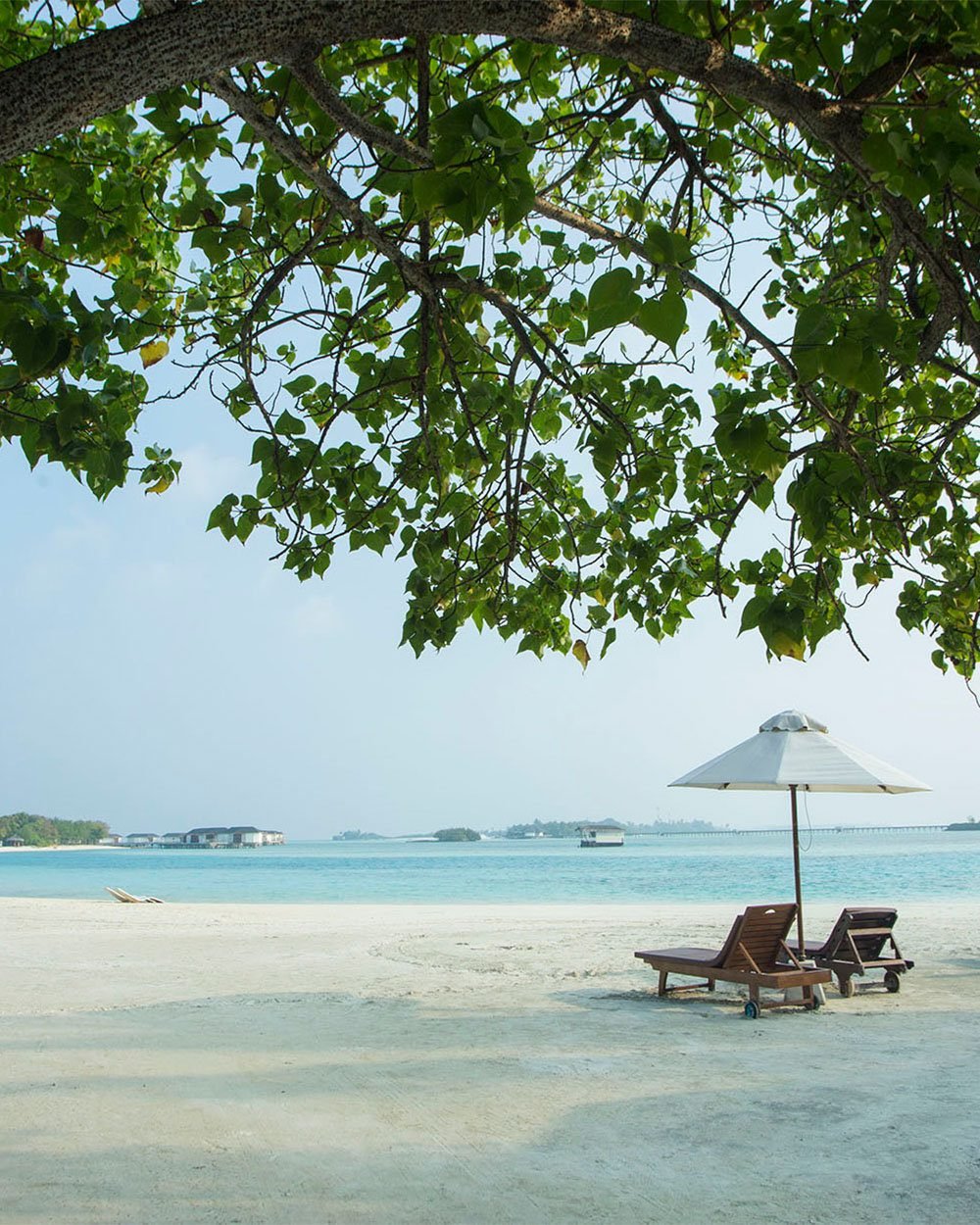 destinova-journeys-destinations-maldives-cinnamon dhonveli-1